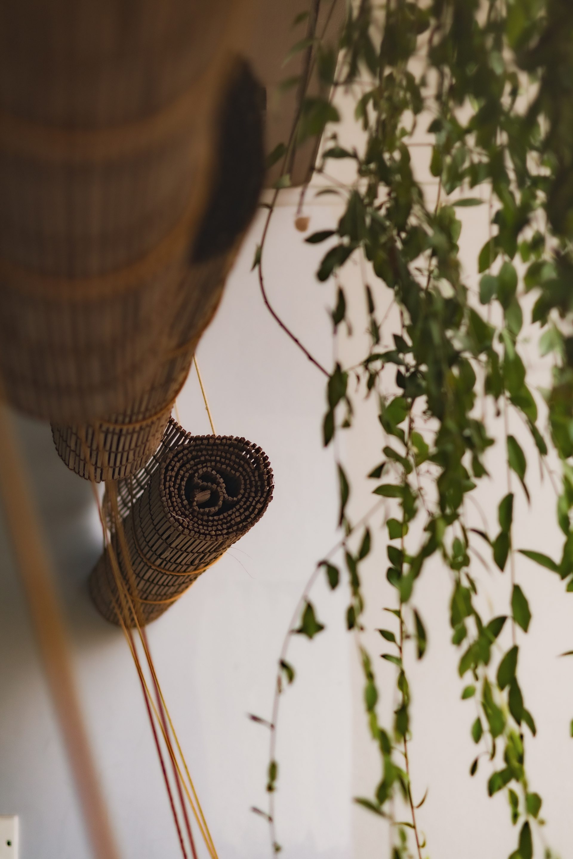 Close detail of a woven hanging planter and rolled bamboo blind